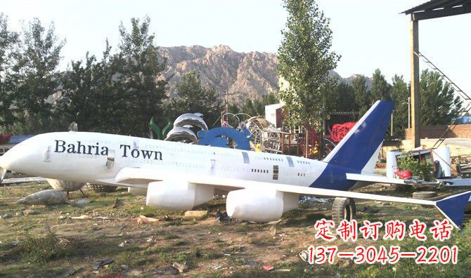 安阳不锈钢飞机雕塑 (3)