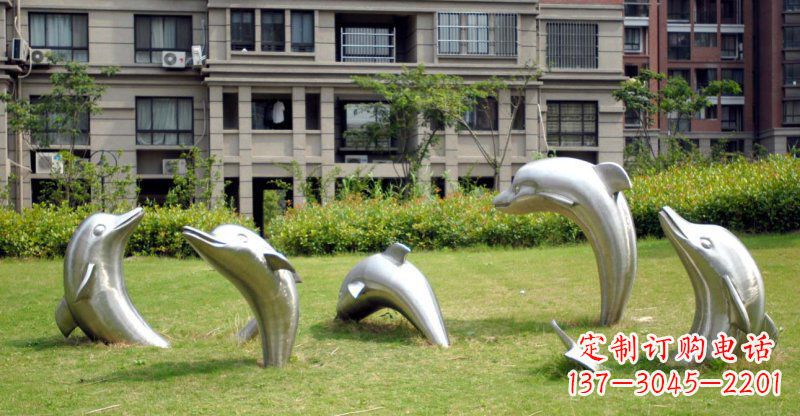 安阳海豚的浪漫