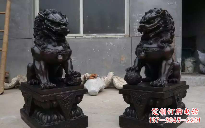 安阳踩球镇的狮子之家
