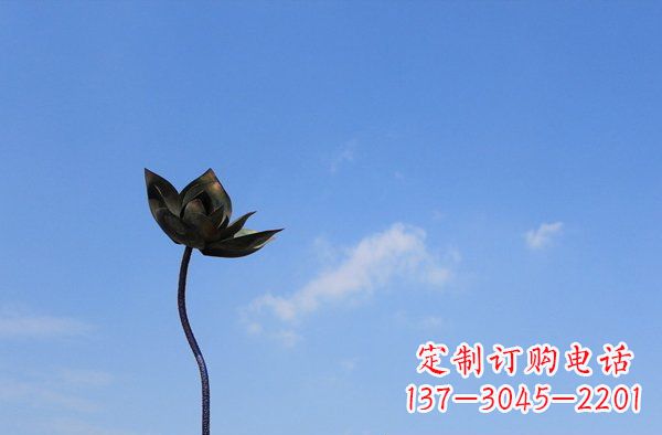 安阳公园不锈钢荷花景观雕塑 (2)