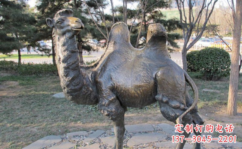 安阳铜骆驼雕塑——浓缩自然美丽