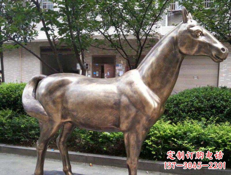 安阳精美铜雕动物
