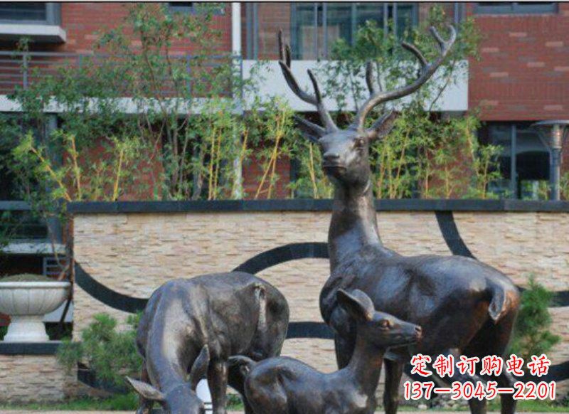 安阳古雅优雅的梅花鹿铜雕