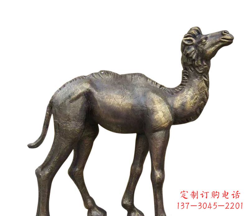 安阳奇美洁净的骆驼铜雕