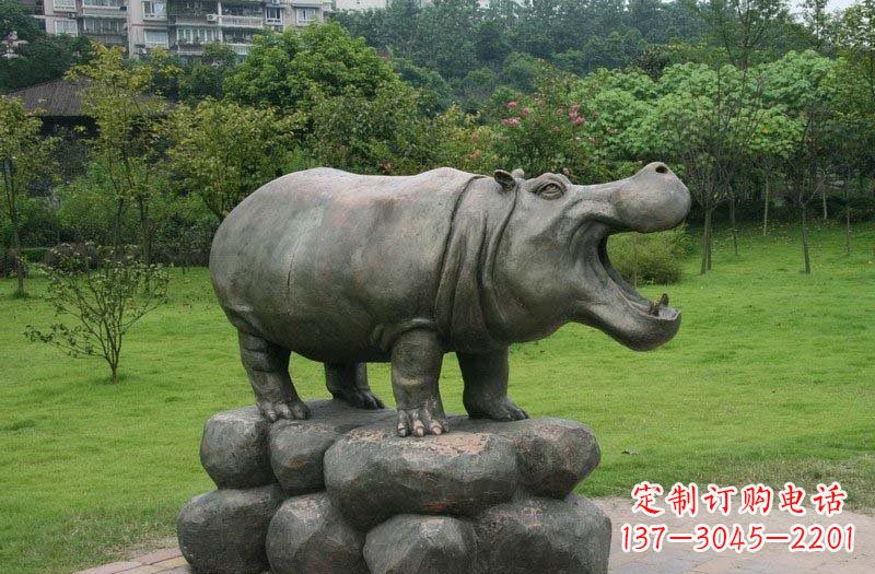 安阳让生活更加精彩,靓丽而优雅的河马铜雕塑