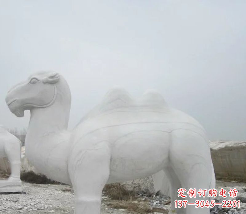 安阳汉白玉骆驼石雕塑,装点家居空间