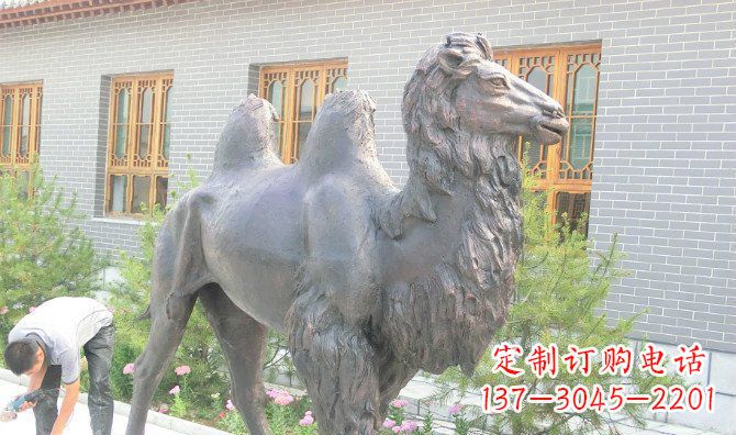 安阳精美的骆驼铜雕,提升您的公园气质