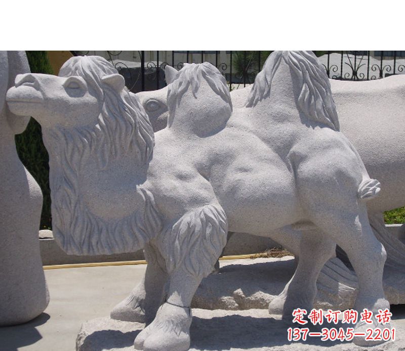 安阳艺术珍品—骆驼石雕