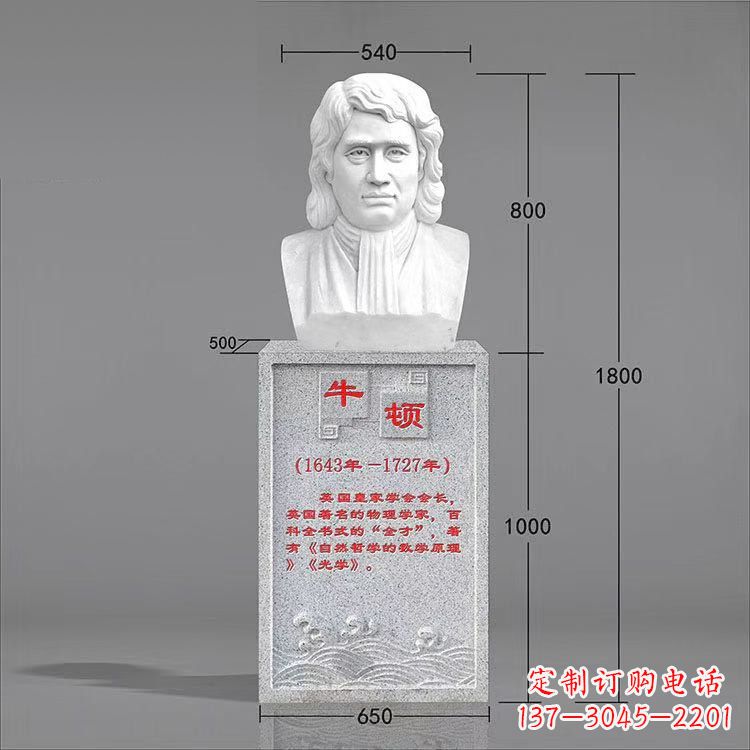 安阳艺术精灵:牛顿汉白玉石头像雕塑