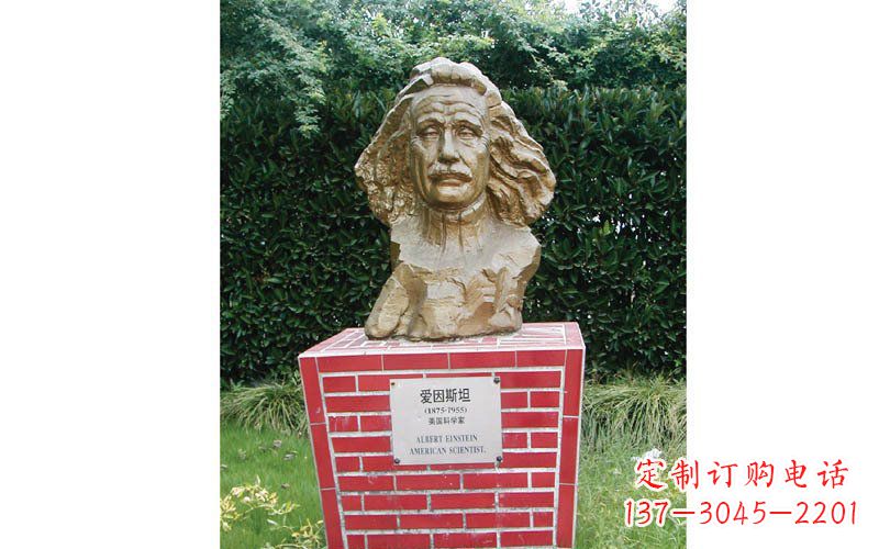 安阳西方名人爱因斯坦头像铜雕