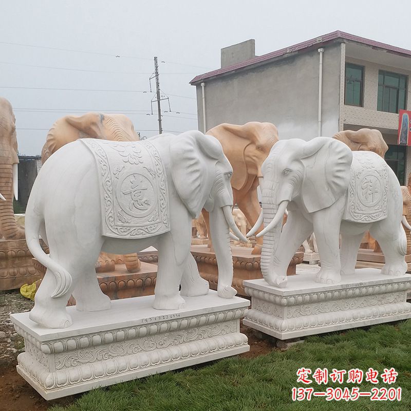 安阳学校石雕大象