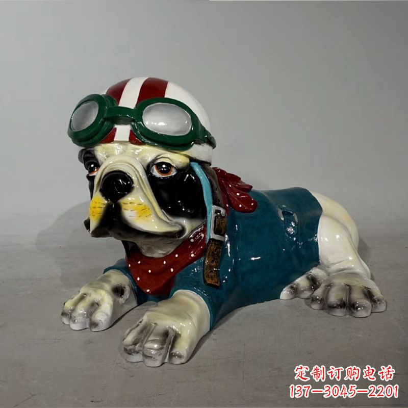 安阳宇航员斗牛犬