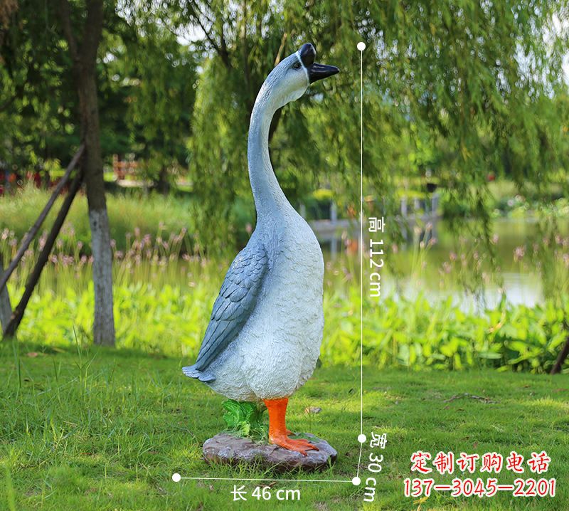 安阳站立立脖灰色天鹅